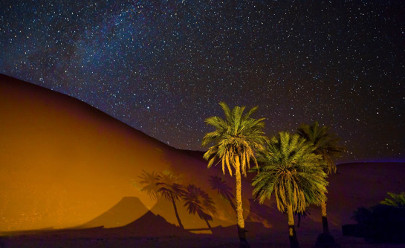 Ночное Сафари в пустыне 